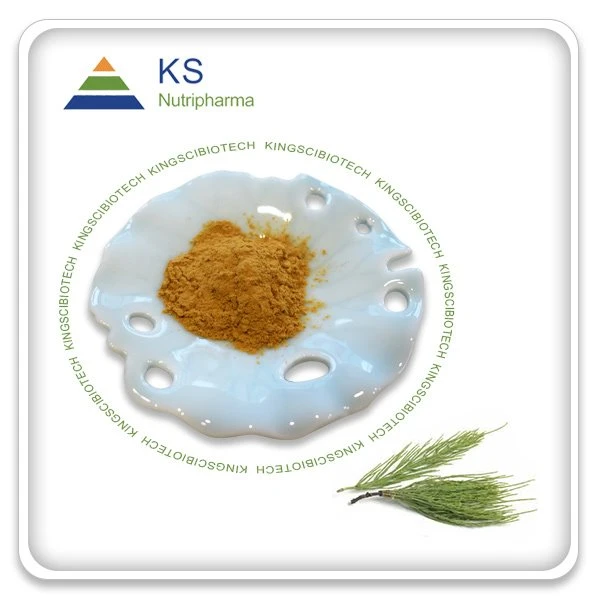 Equisetum Arvense-extract