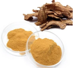 product-245-230 product-245-230